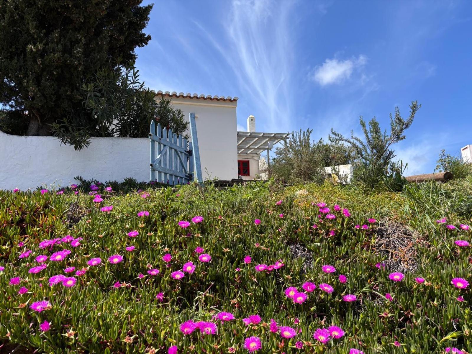 Casa Pedralva Vila Vila do Bispo Exterior foto